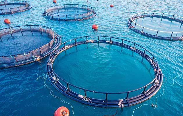  Guidelines for the Protection of Trade Secrets in the Aquaculture Industry 